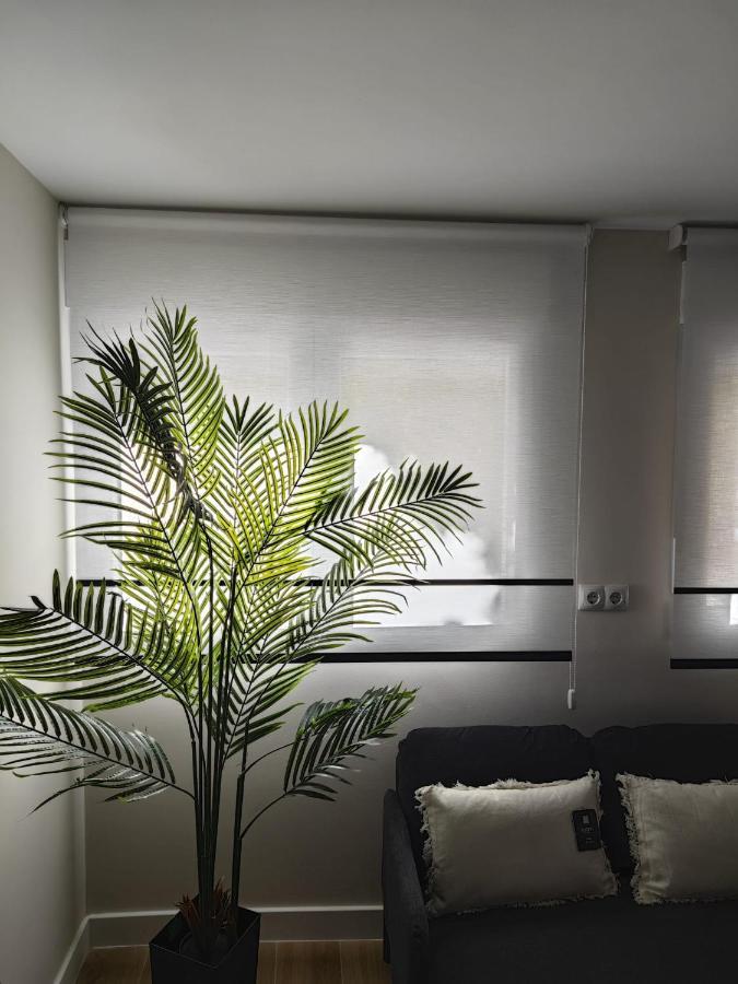 Studio Sevilla Suites Málaga Kültér fotó
